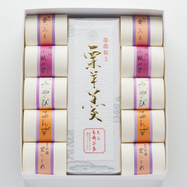 栗羊羹・銘菓5種(10個) 詰め合わせ